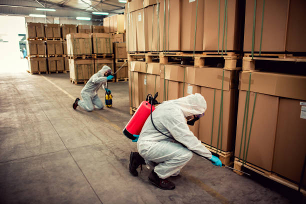 Best Mosquito Control Services  in Guymon, OK