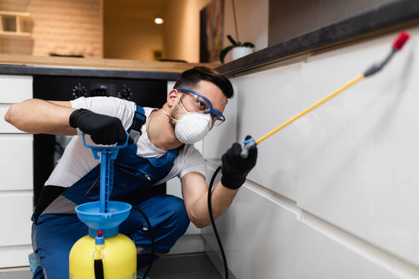Reliable Guymon, OK Pest Control Solutions