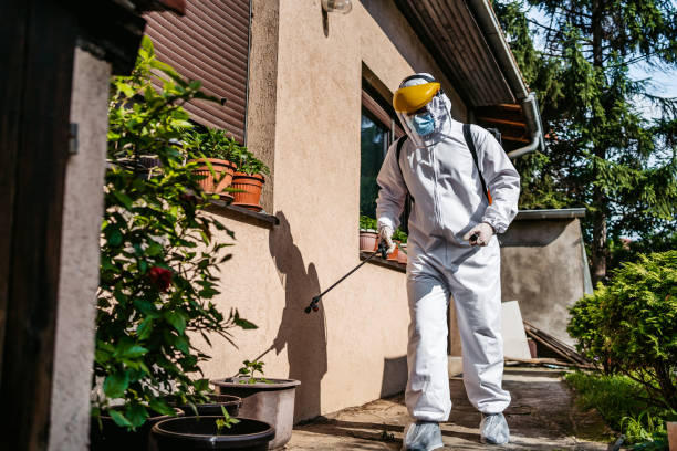 Best Ant Control Services  in Guymon, OK