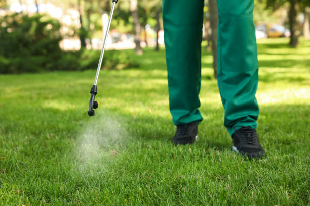 Best Cockroach Control Services  in Guymon, OK