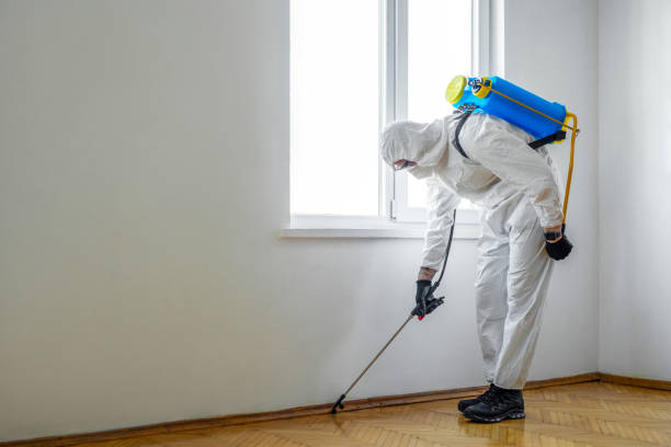 Best Pest Control Treatment  in Guymon, OK