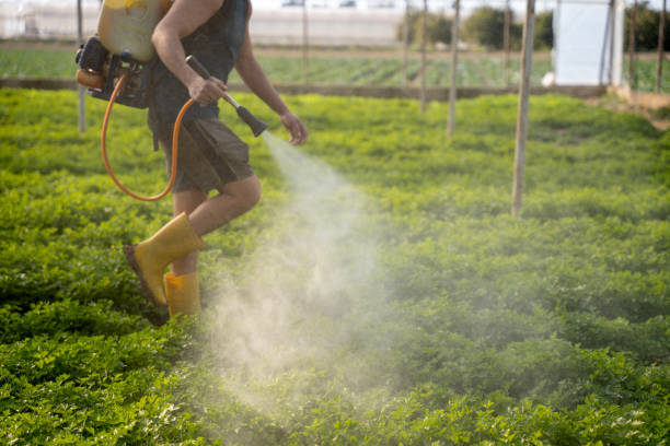 Best Best Pest Control Companies  in Guymon, OK