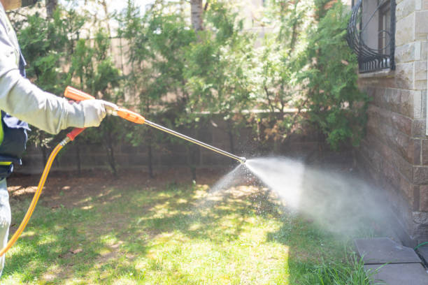 Best Pest Control for Homes  in Guymon, OK