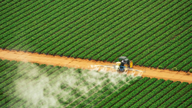 Best Best Pest Control Companies  in Guymon, OK