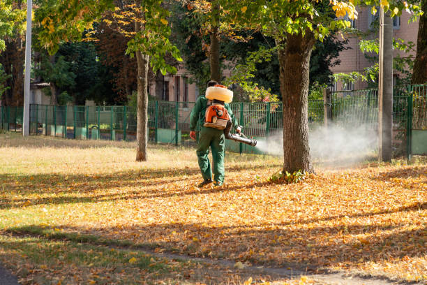Best Termite Control Services  in Guymon, OK