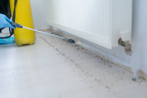 Best Affordable Exterminators  in Guymon, OK