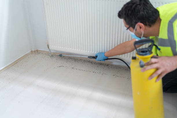 Best Pest Inspection Near Me  in Guymon, OK