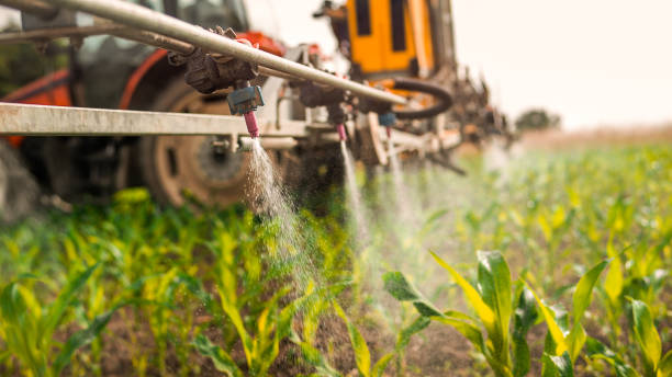 Best Pest Prevention Services  in Guymon, OK